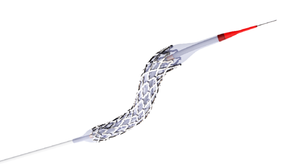 PTA Balloon and STents